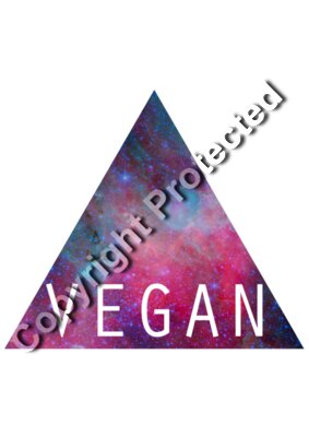 vegan galaxy 2 pro